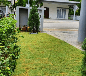 plant rental services in Kuala Lumpur