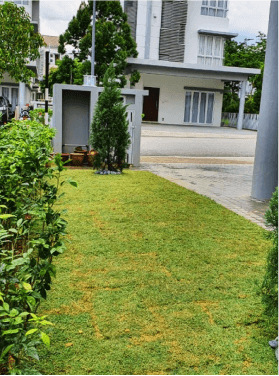 plant rental services in Kuala Lumpur