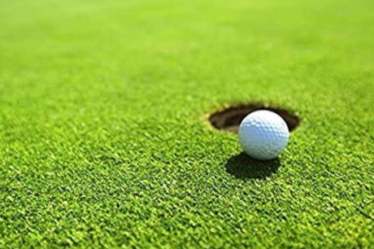 Golf Grass Services in Selangor