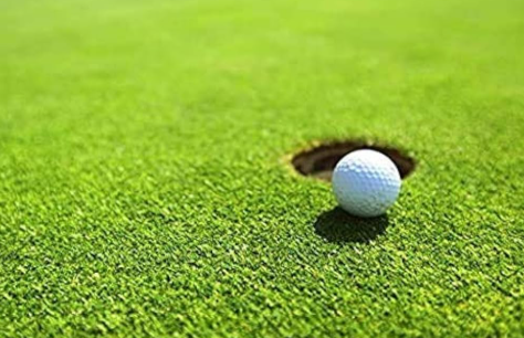 Golf Grass Services in Selangor